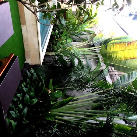 ホテルクブ ケナック ゲスト ハウス スミニャック エクステリア 写真